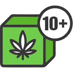 custom cannabis boxes